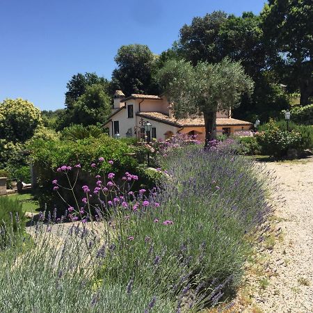 Vila Olivella Campagnano Di Roma Exteriér fotografie